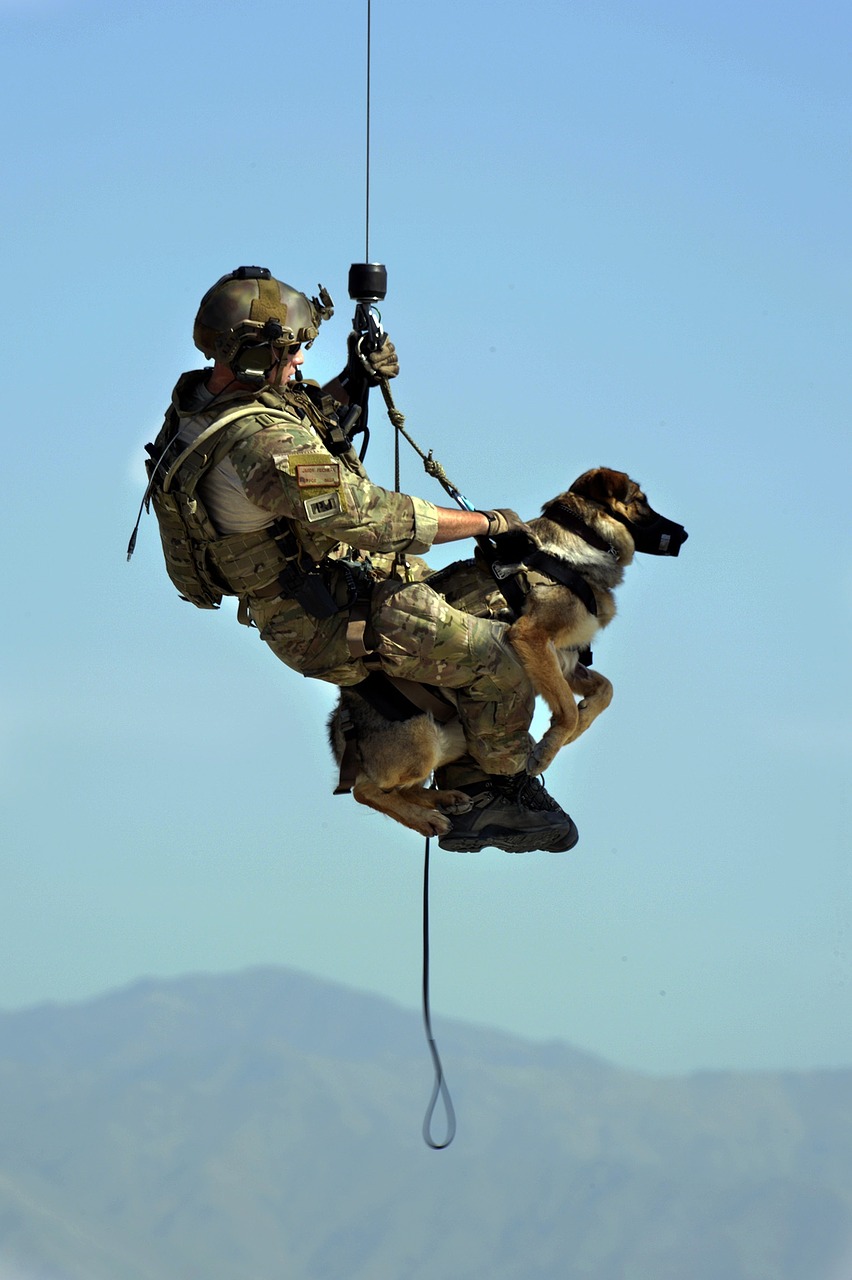military working dog
