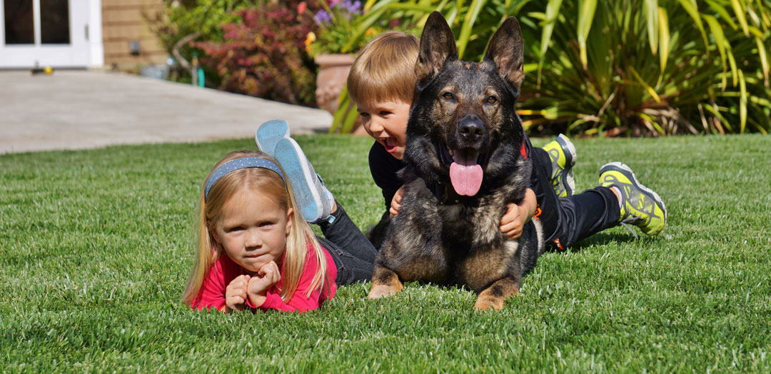 Dogs and Improved Child Development