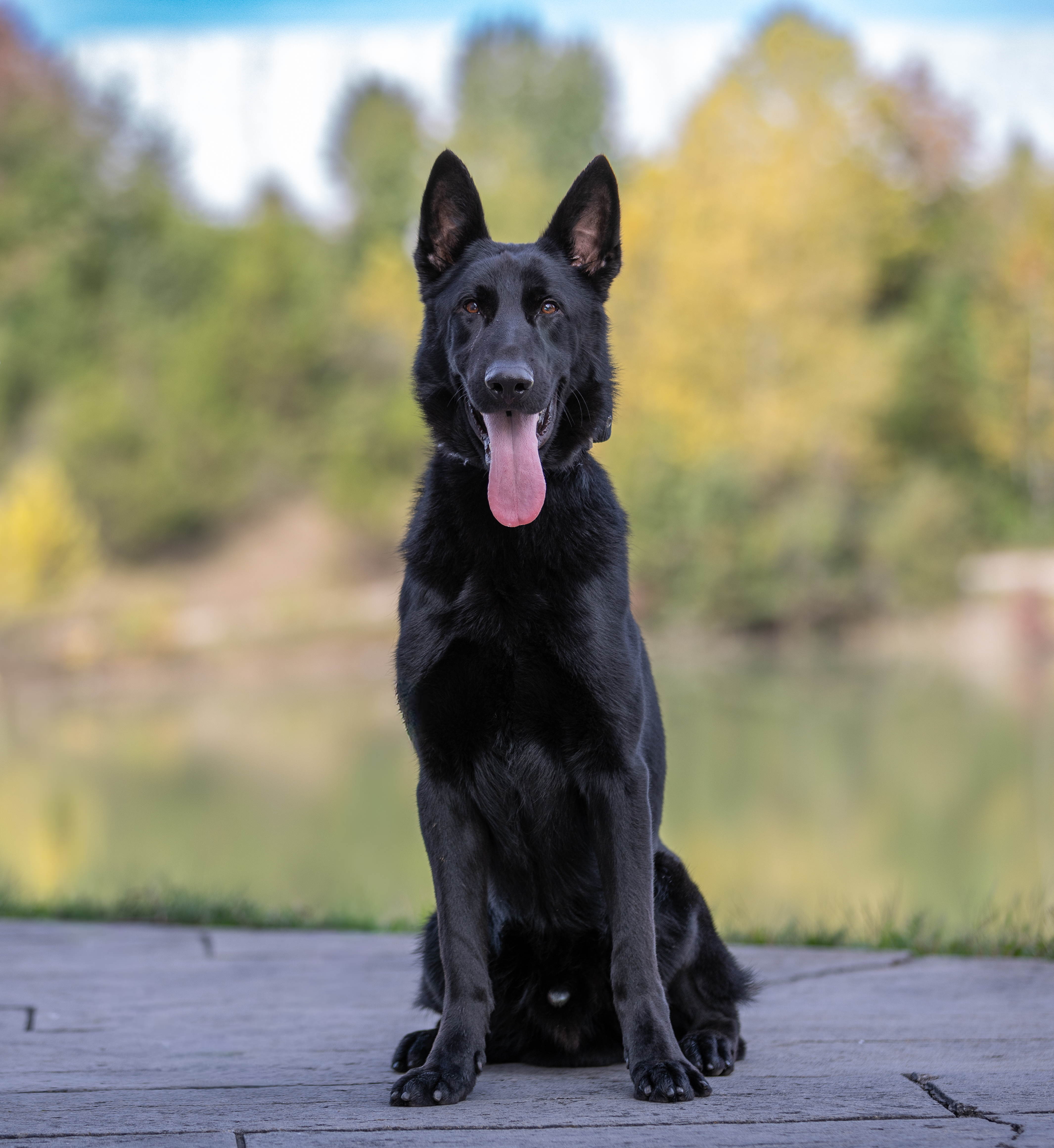Kaiser