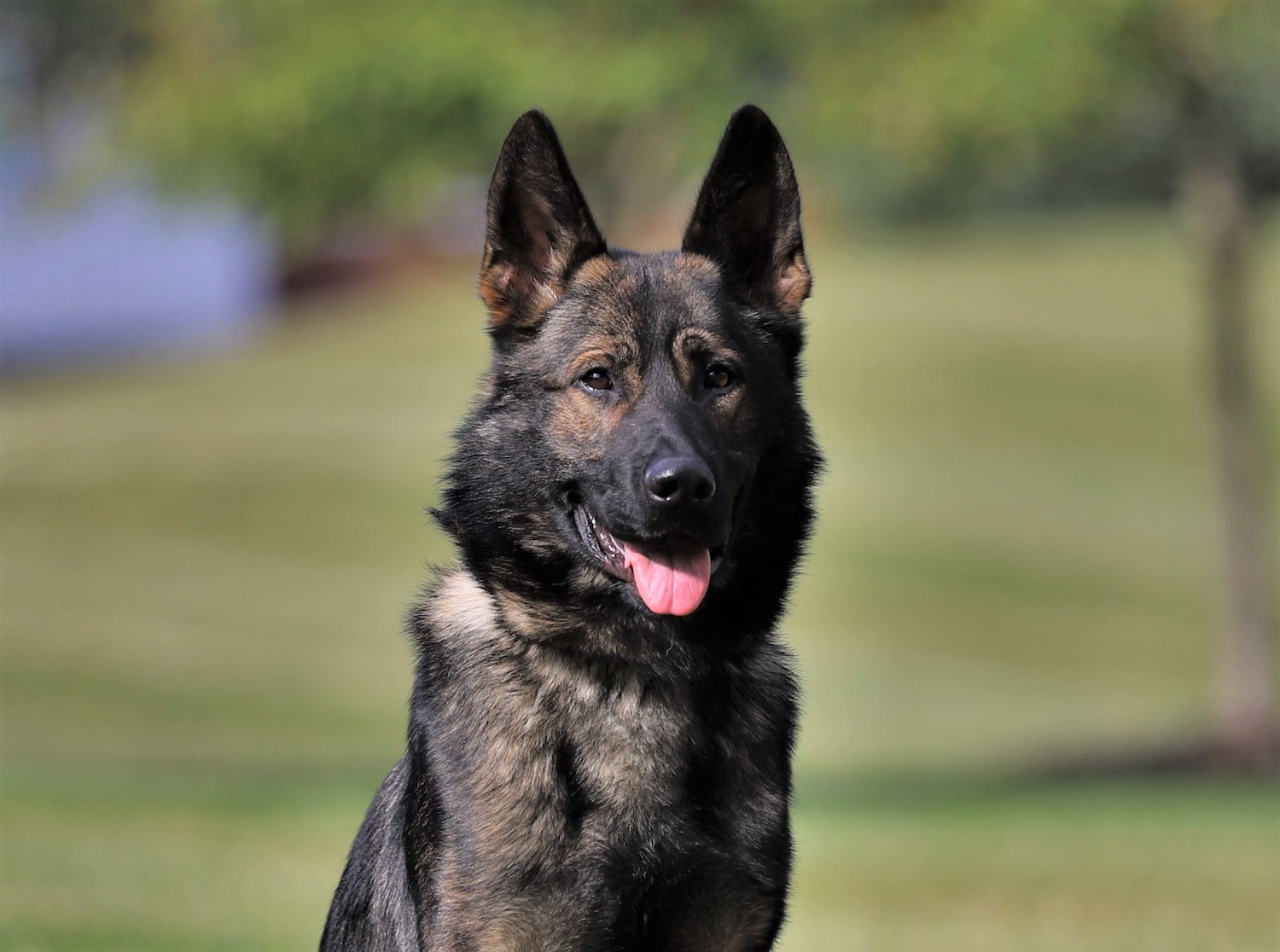 5df8f8829c6e7516640005.jpg photo