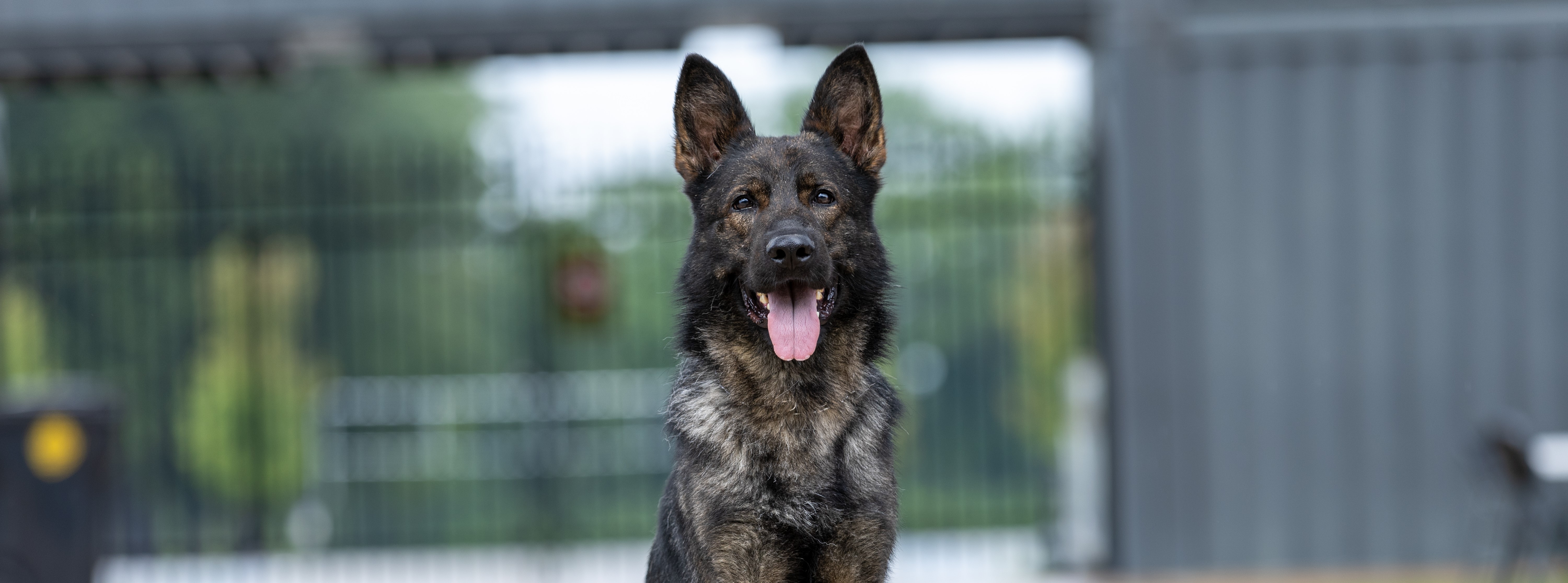 Gunnar