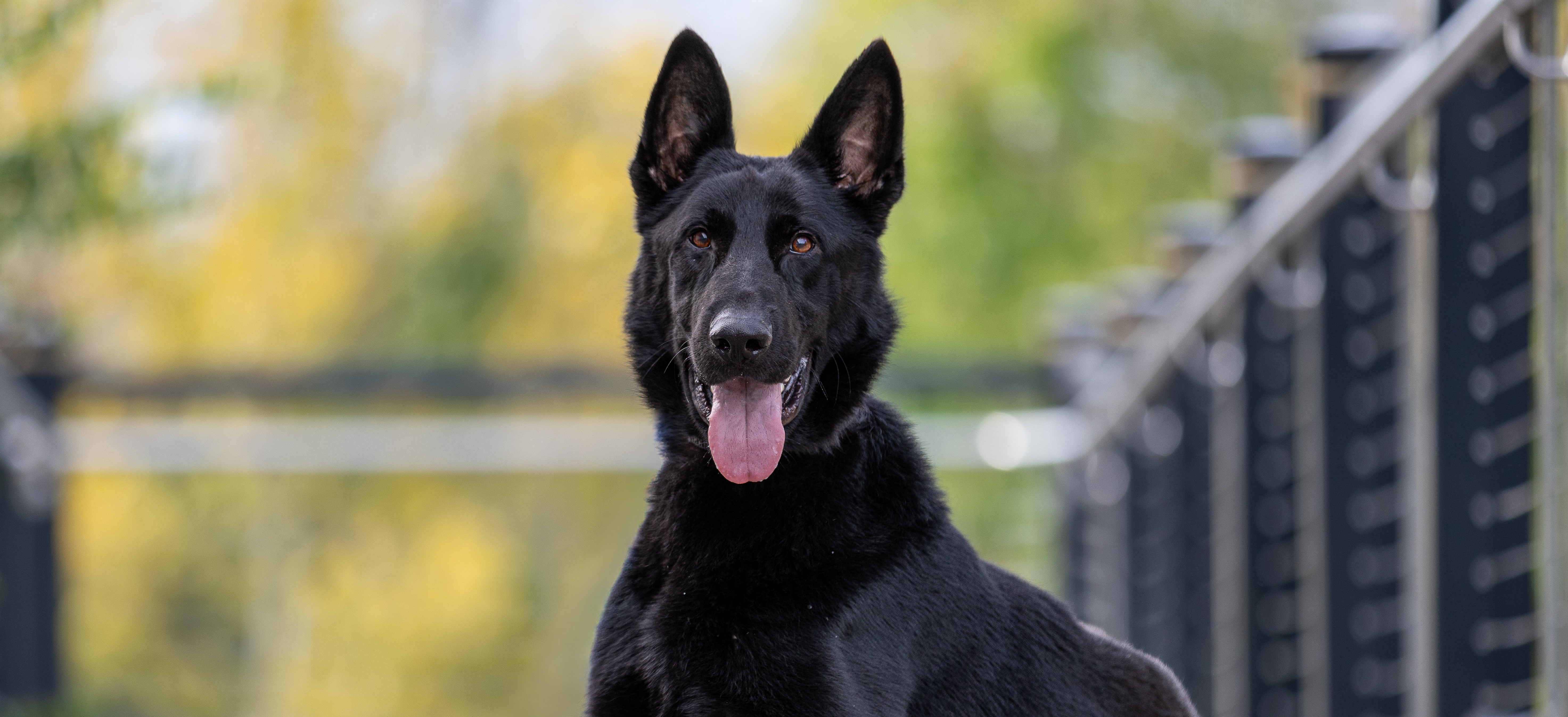 Kaiser