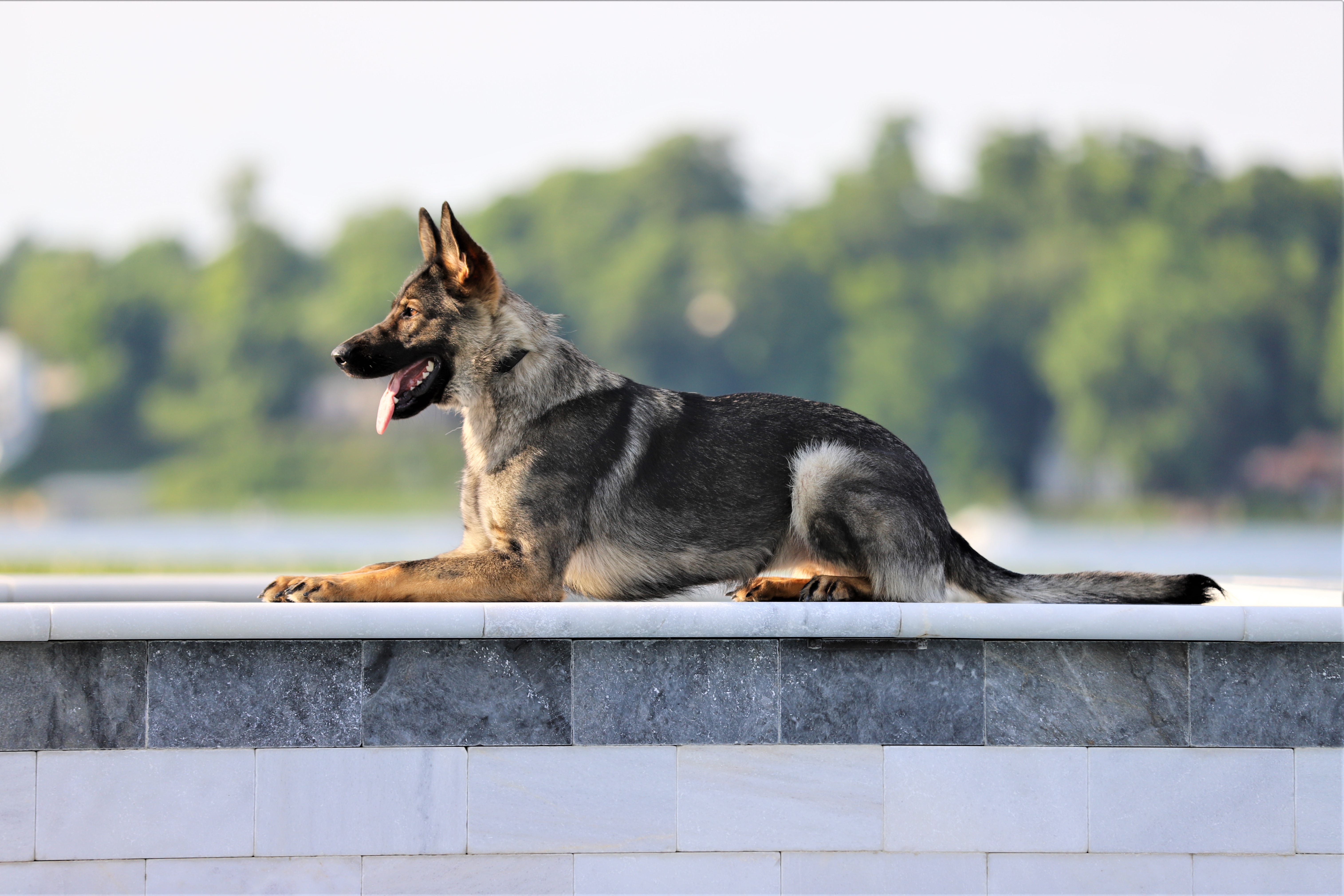 Athena