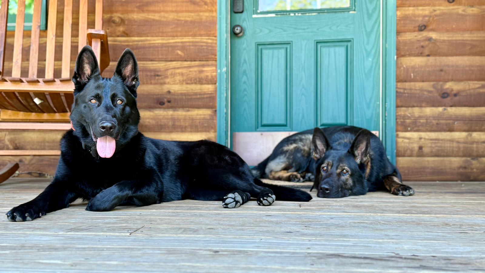 Protection That Lives With Your Family.