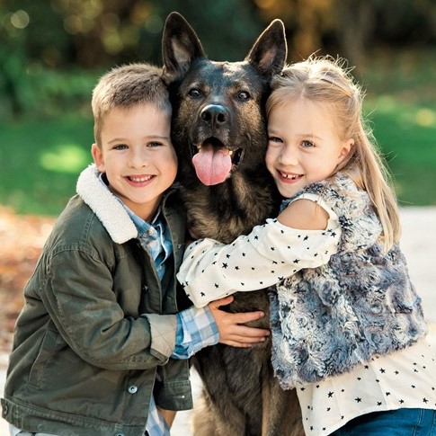 Family protection dog.jpg