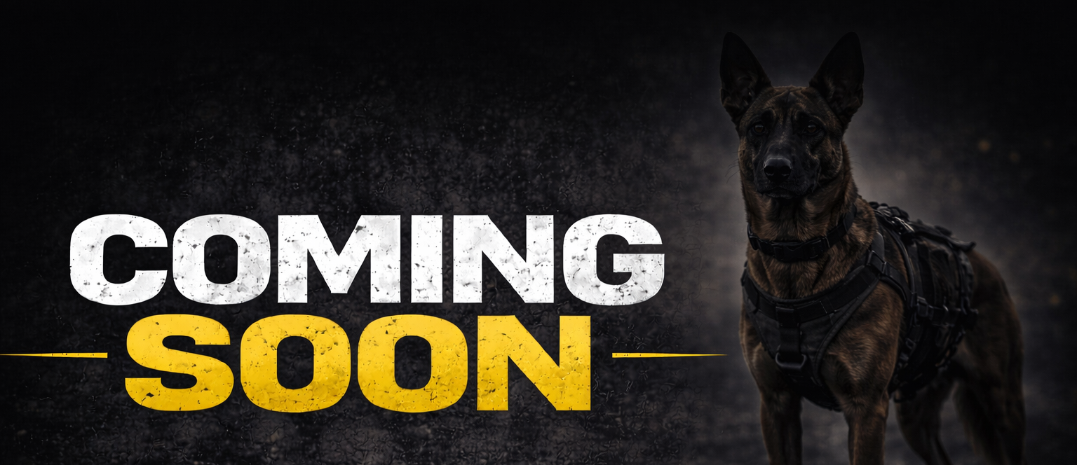 types of protections dogs